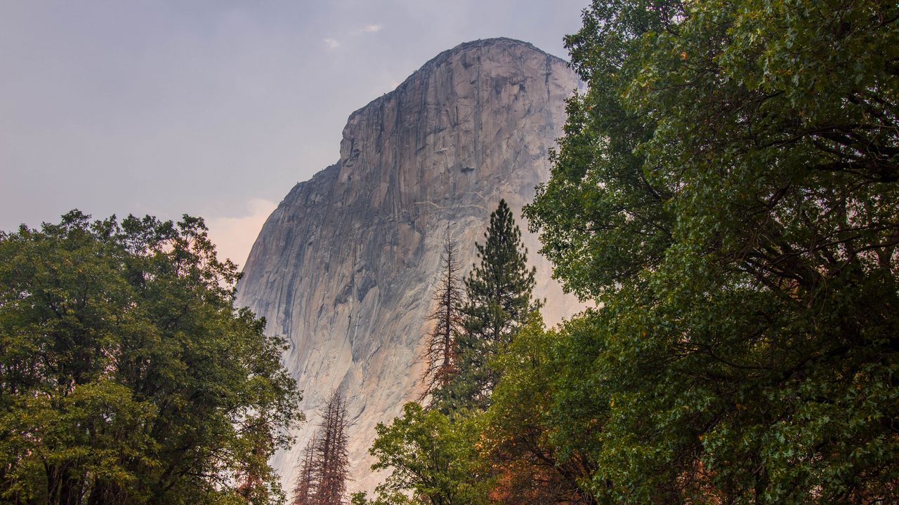 Wallpaper mountain, trees, landscape, nature