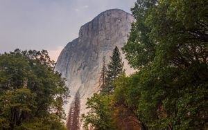Preview wallpaper mountain, trees, landscape, nature