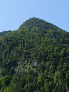 Preview wallpaper mountain, trees, landscape, forest