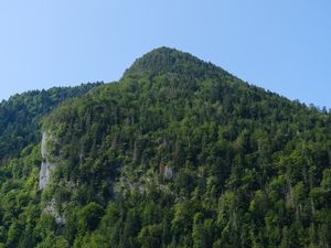 Preview wallpaper mountain, trees, landscape, forest