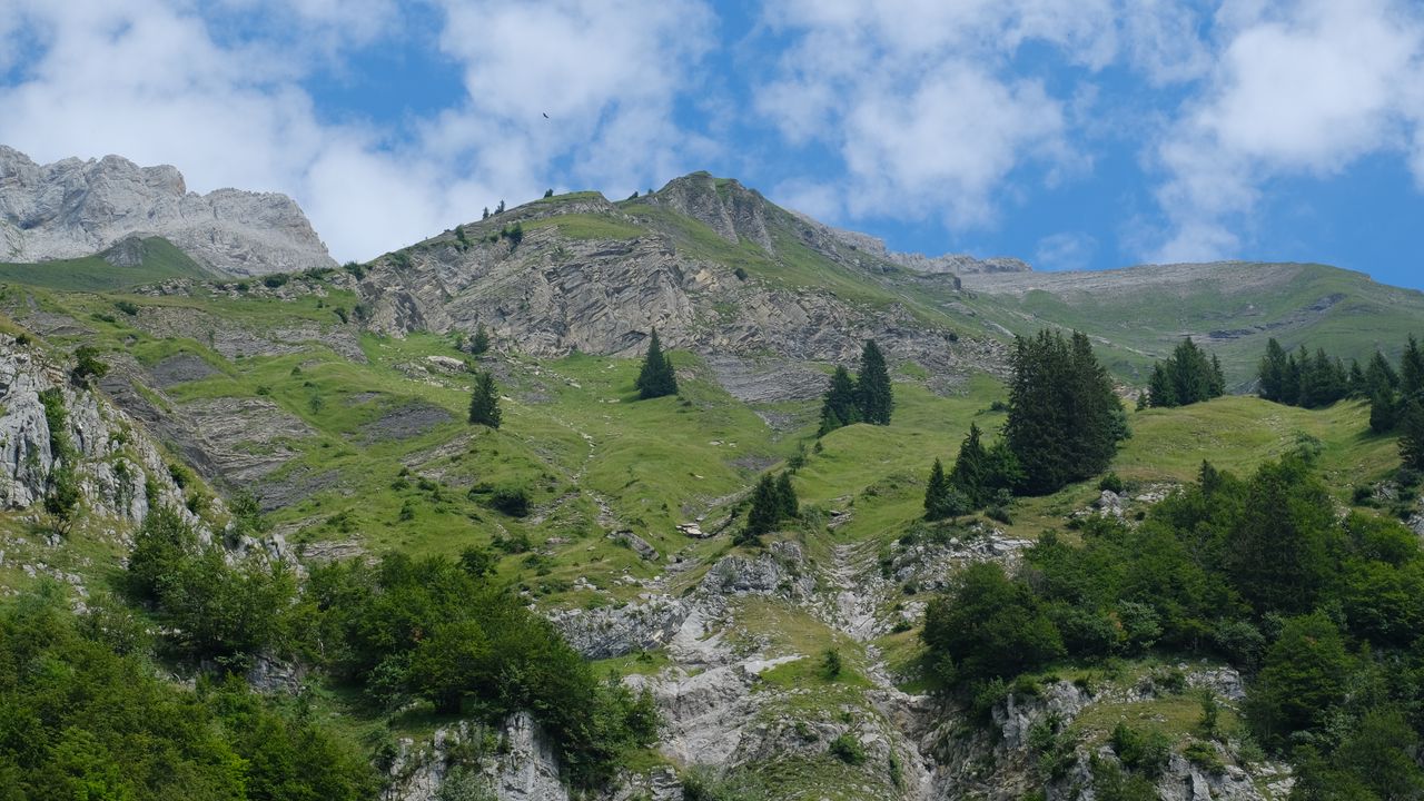 Wallpaper mountain, trees, landscape, nature, slope