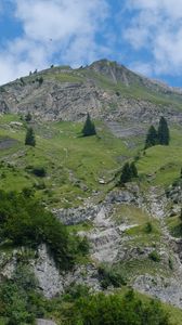 Preview wallpaper mountain, trees, landscape, nature, slope