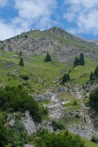 Preview wallpaper mountain, trees, landscape, nature, slope