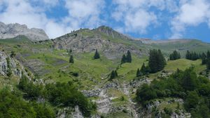 Preview wallpaper mountain, trees, landscape, nature, slope