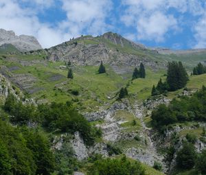 Preview wallpaper mountain, trees, landscape, nature, slope