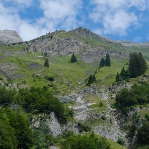 Preview wallpaper mountain, trees, landscape, nature, slope