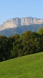 Preview wallpaper mountain, trees, lawn, grass, greenery, nature