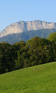 Preview wallpaper mountain, trees, lawn, grass, greenery, nature