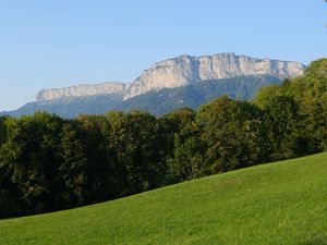 Preview wallpaper mountain, trees, lawn, grass, greenery, nature