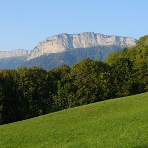 Preview wallpaper mountain, trees, lawn, grass, greenery, nature