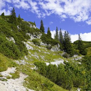 Preview wallpaper mountain, trees, nature, landscape