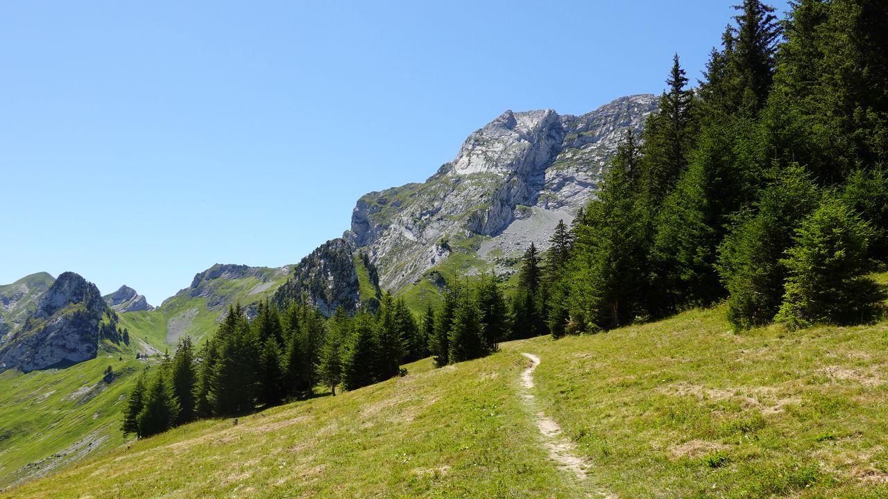 Wallpaper mountain, trees, path, nature, summer