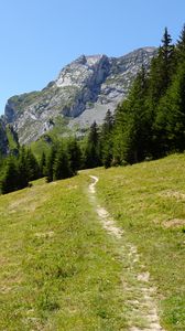 Preview wallpaper mountain, trees, path, nature, summer