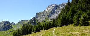 Preview wallpaper mountain, trees, path, nature, summer