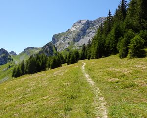 Preview wallpaper mountain, trees, path, nature, summer