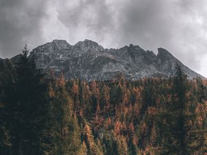 Preview wallpaper mountain, trees, peak, aerial view, tops