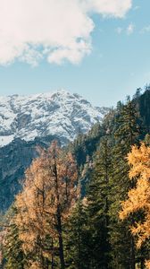 Preview wallpaper mountain, trees, peak, snow, landscape