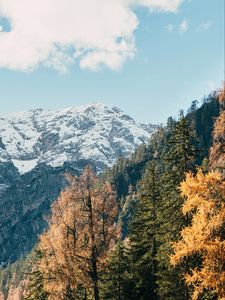 Preview wallpaper mountain, trees, peak, snow, landscape