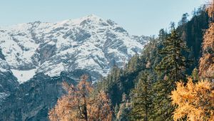 Preview wallpaper mountain, trees, peak, snow, landscape