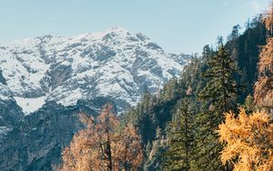 Preview wallpaper mountain, trees, peak, snow, landscape