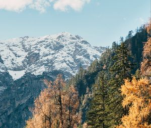 Preview wallpaper mountain, trees, peak, snow, landscape