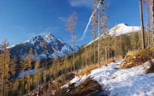 Preview wallpaper mountain, trees, pine trees, snow, landscape, nature