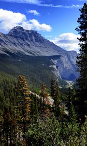 Preview wallpaper mountain, trees, pines, nature, landscape