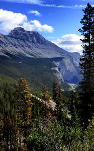 Preview wallpaper mountain, trees, pines, nature, landscape