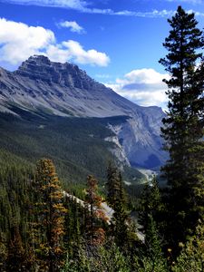 Preview wallpaper mountain, trees, pines, nature, landscape