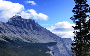 Preview wallpaper mountain, trees, pines, nature, landscape