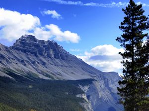 Preview wallpaper mountain, trees, pines, nature, landscape