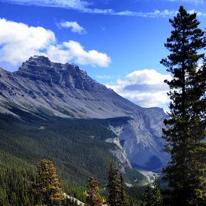 Preview wallpaper mountain, trees, pines, nature, landscape