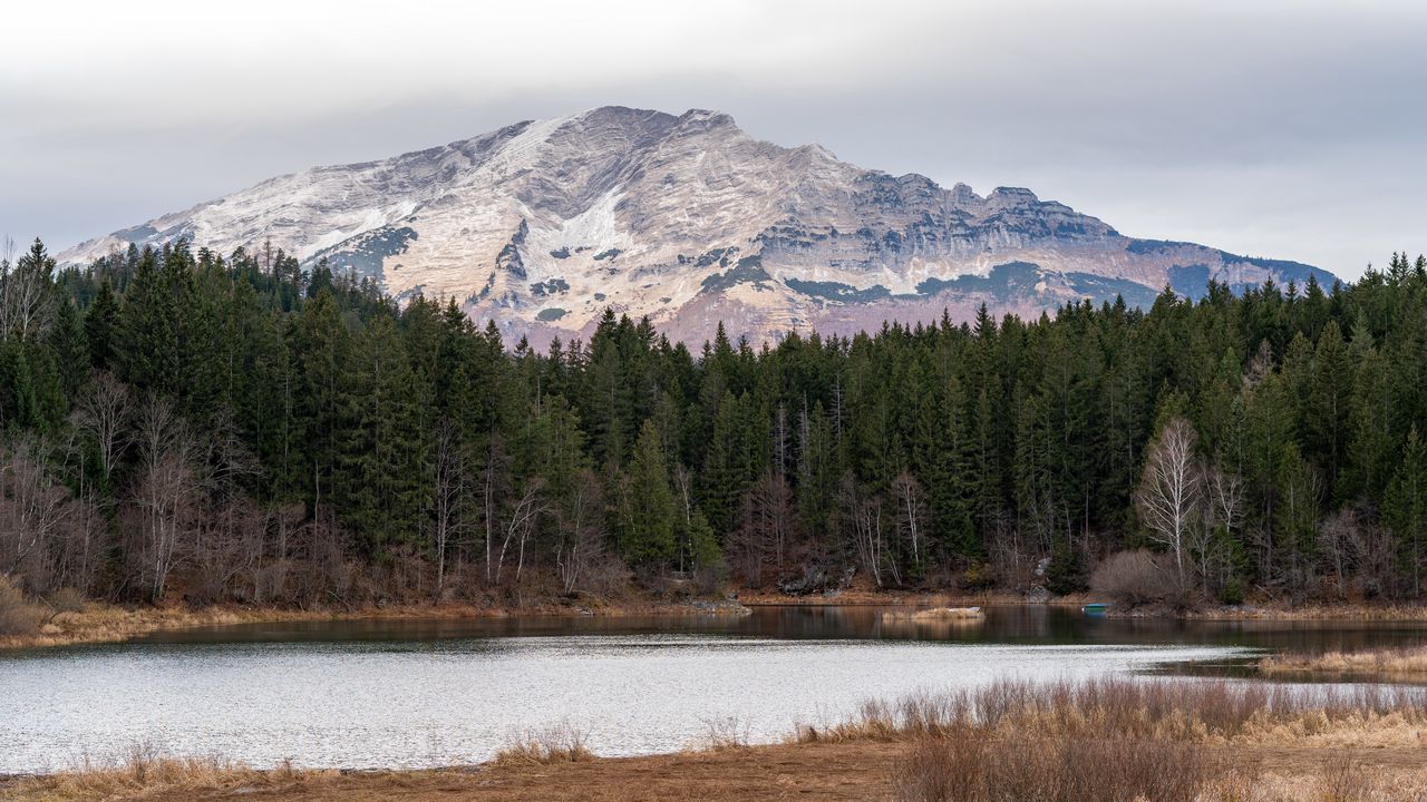 Wallpaper mountain, trees, river, coast, nature
