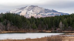 Preview wallpaper mountain, trees, river, coast, nature