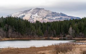 Preview wallpaper mountain, trees, river, coast, nature