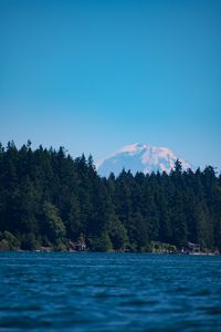 Preview wallpaper mountain, trees, sea, coast, nature