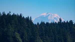 Preview wallpaper mountain, trees, sea, coast, nature