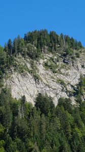 Preview wallpaper mountain, trees, slope, landscape, nature