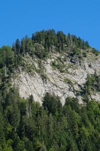 Preview wallpaper mountain, trees, slope, landscape, nature