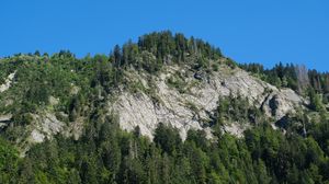 Preview wallpaper mountain, trees, slope, landscape, nature