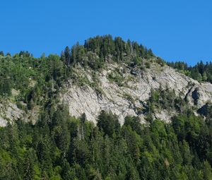 Preview wallpaper mountain, trees, slope, landscape, nature