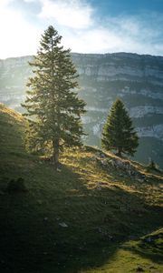 Preview wallpaper mountain, trees, slope, nature, landscape