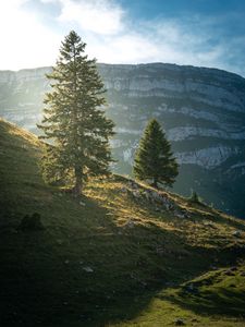 Preview wallpaper mountain, trees, slope, nature, landscape