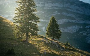 Preview wallpaper mountain, trees, slope, nature, landscape
