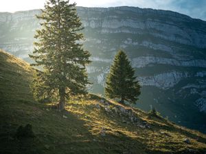 Preview wallpaper mountain, trees, slope, nature, landscape