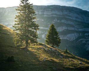 Preview wallpaper mountain, trees, slope, nature, landscape