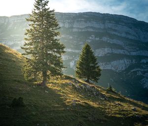 Preview wallpaper mountain, trees, slope, nature, landscape