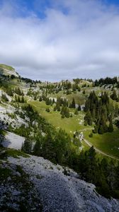 Preview wallpaper mountain, trees, slope, valley, nature