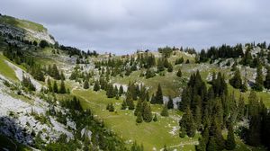 Preview wallpaper mountain, trees, slope, valley, nature