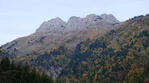 Preview wallpaper mountain, trees, slope, relief